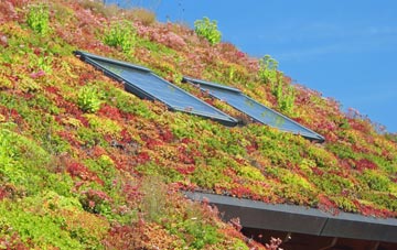 Woldingham living roof systems